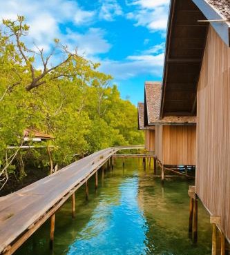 " Miguel Homestay RAJA AMPAT "