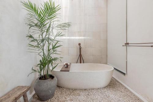 BI Design House - Boutique Hotel Canggu in Canggu