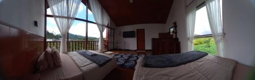 Cabin Wetan Kali Dieng