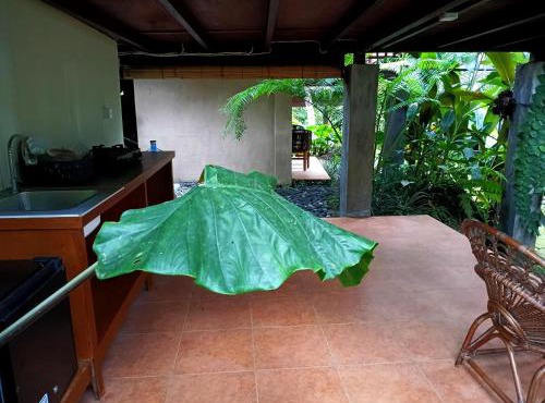Ubud Jungle Stay - Mahari by WAHM in Ubud