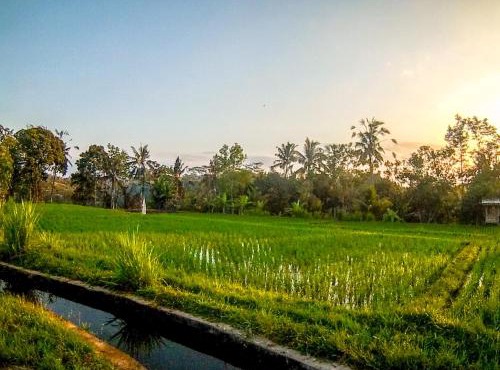 Ubud Paradise Villa