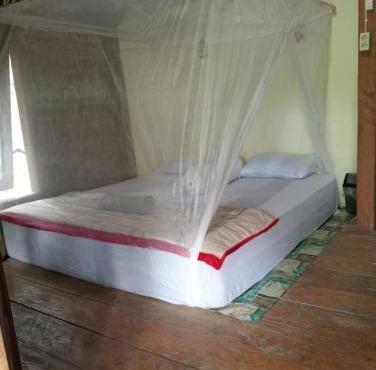 Landak River Guest House Jungle Trekking Only Booking with Us in Bukit Lawang