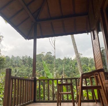 Uma d'Nyuh Homestay in Singaraja