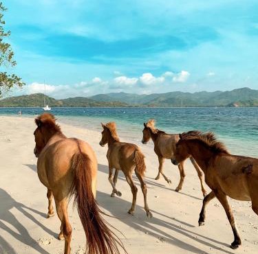 Gili Asahan Eco Lodge & Restaurant in Gili Asahan