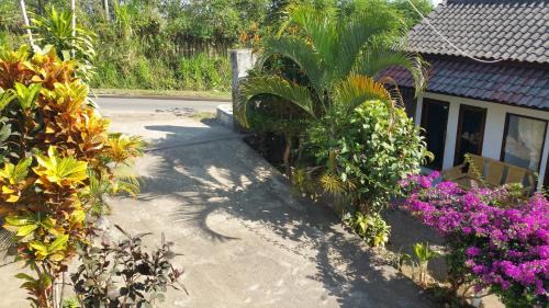 Horizon Senaru Villa in Senaru