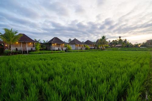 Uma Sebatu Villa Ubud